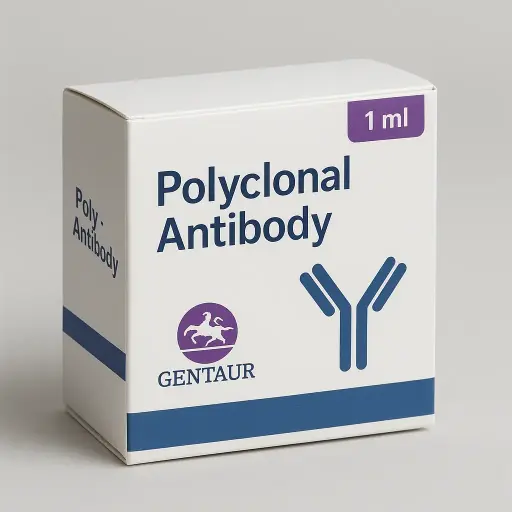 (KO Validated) NUCB1 Polyclonal Antibody