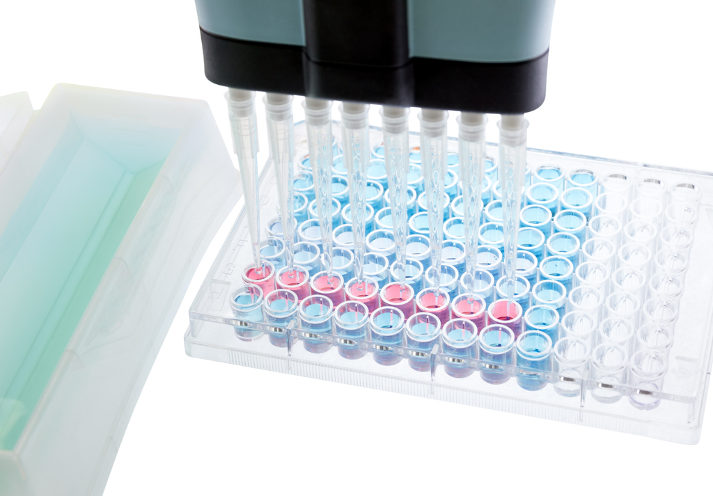 CCL9 - Mouse - Elisa Kit