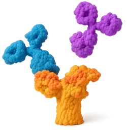  450 Rabbit anti-Human CD13/ANPEP mAb (100 T)