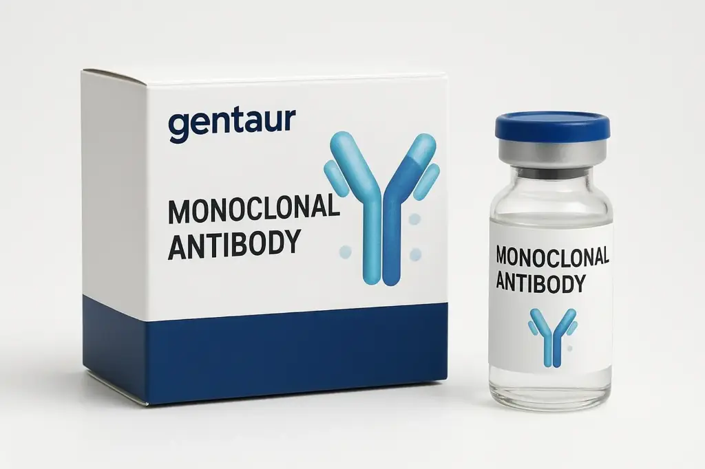 CCR8 Recombinant Monoclonal Antibody [6B12]