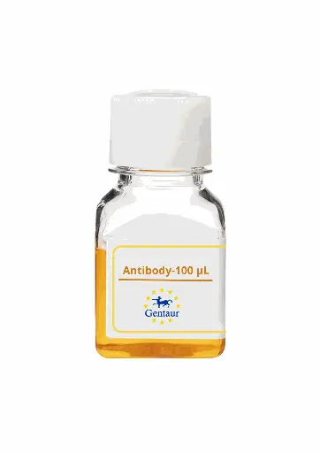 [PA019056GA01HU-100 µL] PTPRJ Antibody