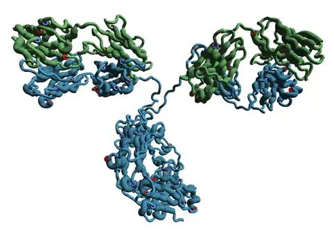 [MBL-M090-4-sf] Rat IgG2b (isotype control)-FITC (Clone: 3G8)